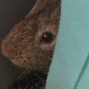 Meet your Posher, Danielle